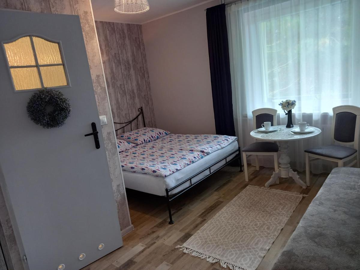 Villa Jaskolka ミエンジズドロイェ エクステリア 写真