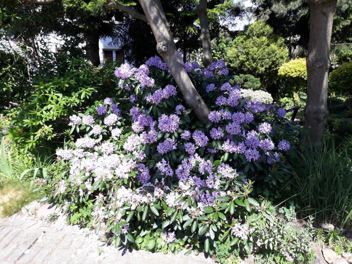 Villa Jaskolka ミエンジズドロイェ エクステリア 写真
