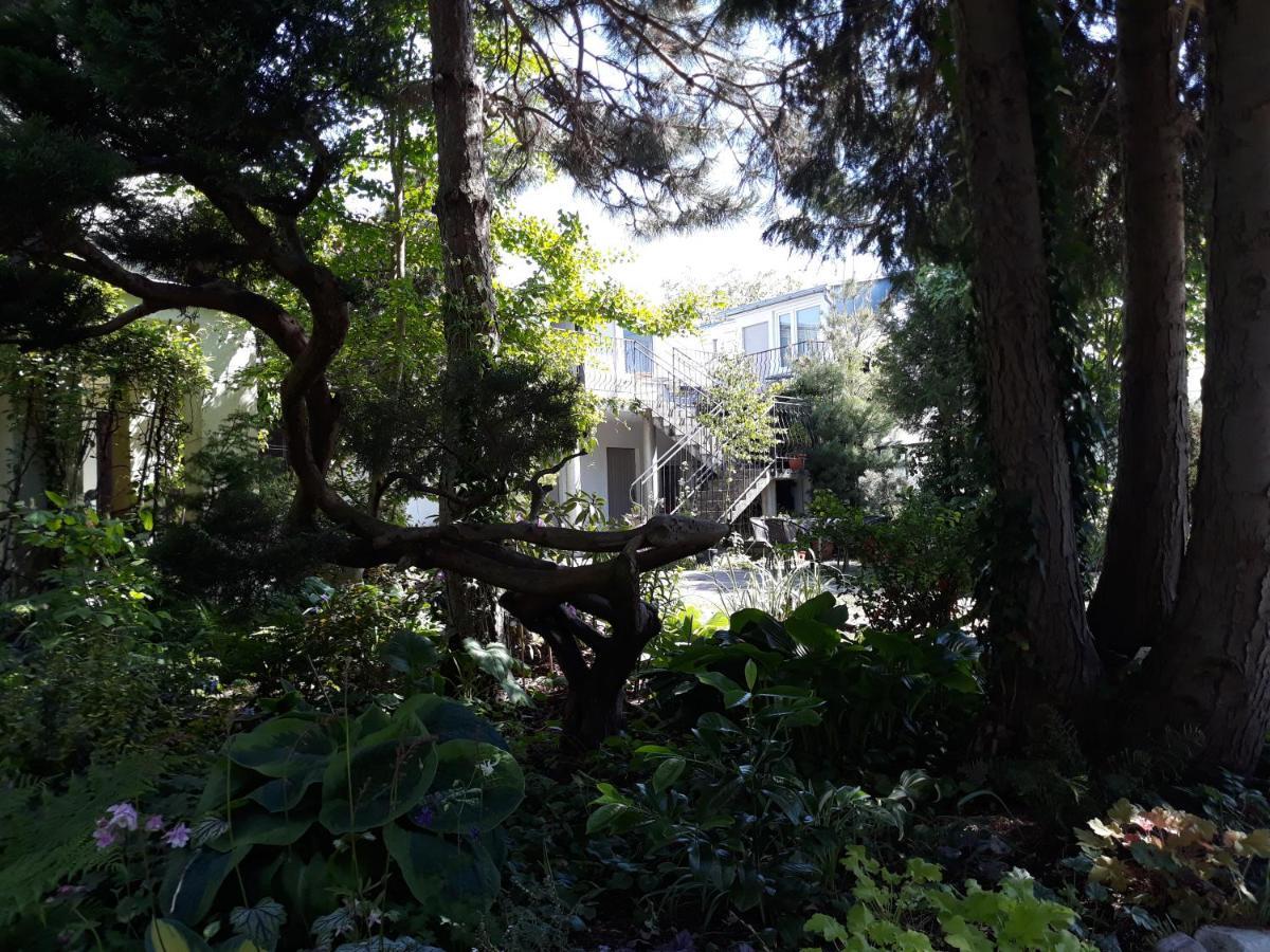 Villa Jaskolka ミエンジズドロイェ エクステリア 写真