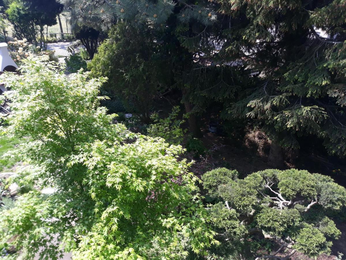 Villa Jaskolka ミエンジズドロイェ エクステリア 写真